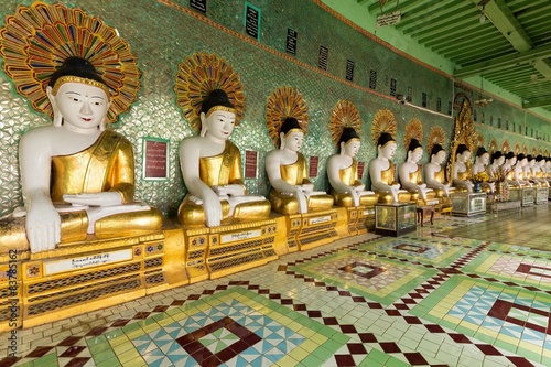 Buddha statues row photo