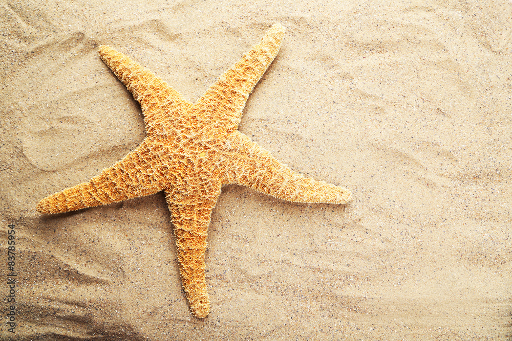 Beach accessories on white background Beach accessories on white background