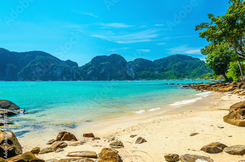 Fabulous beach with exotic plants and white sand photo