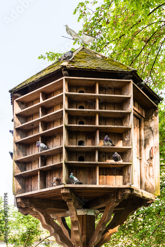 Wooden dovecote with several pigeons