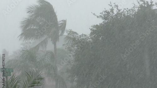 Tropical storm in Florida filmed in 4K