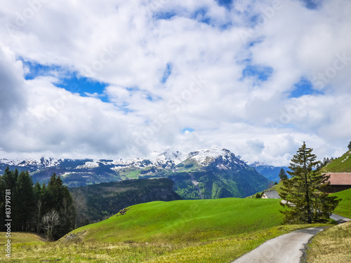 Mountains of Swiss Alps