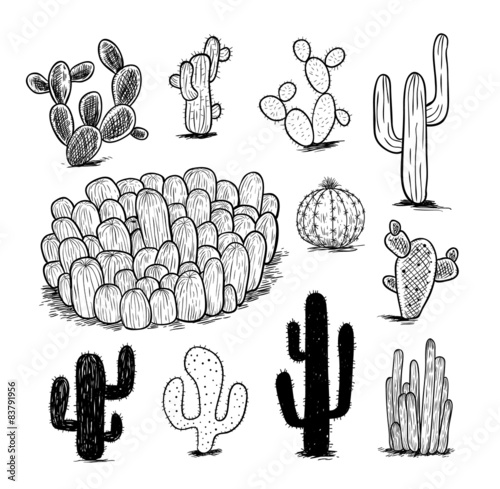 cactus collection,Vector illustration.