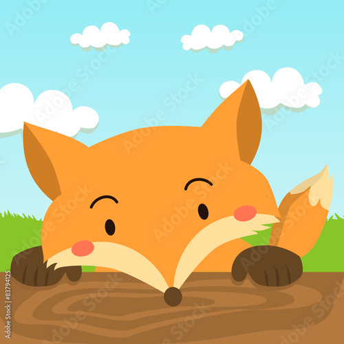 Close up picture of a cute red fox hold on to the wood