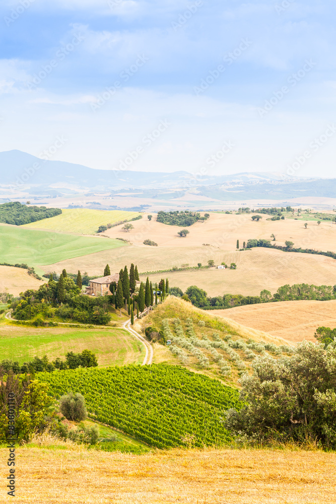 Fototapeta premium Countryside in Tuscany