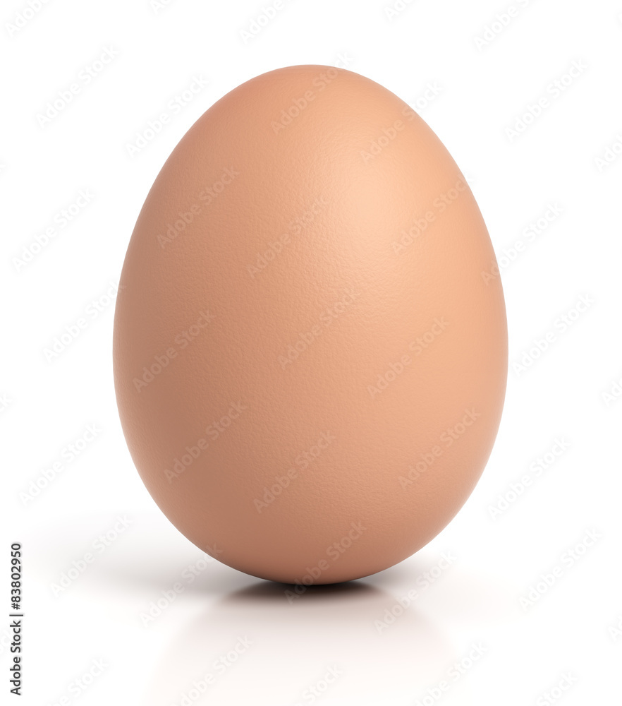 Brown chicken egg on white Brown chicken egg on white