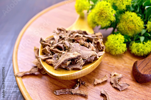 Root dry of Rhodiola rosea in spoon on tray