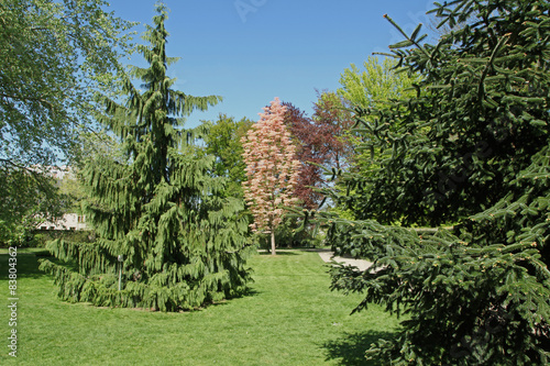 parc paysager photo