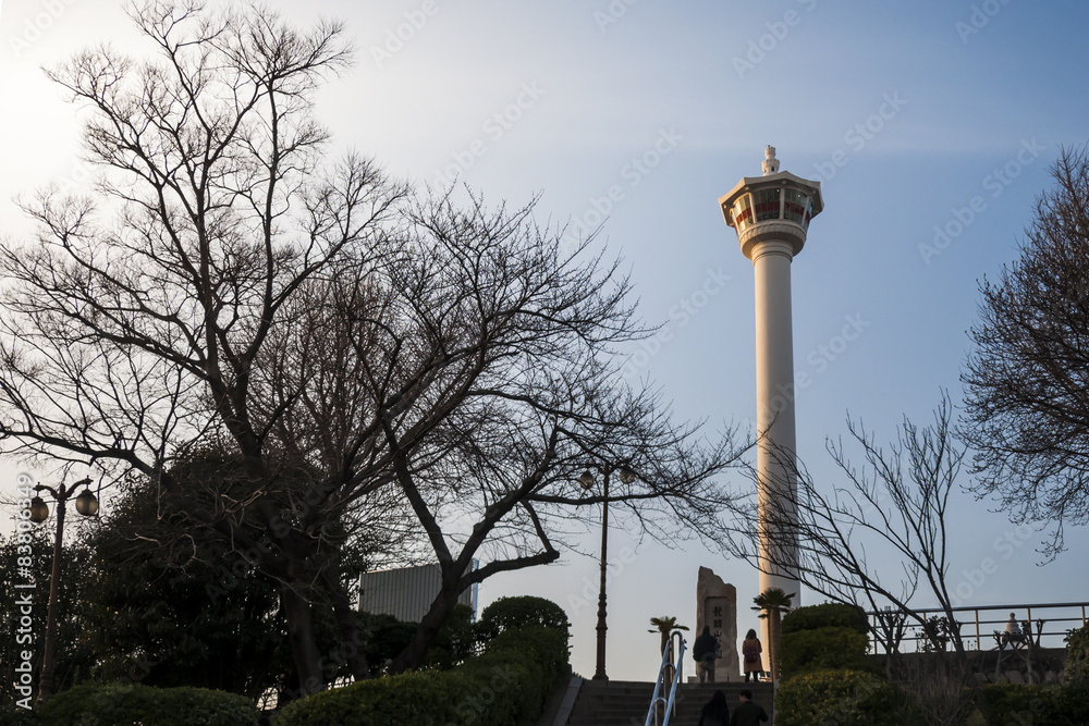 Fototapeta premium Busan tower