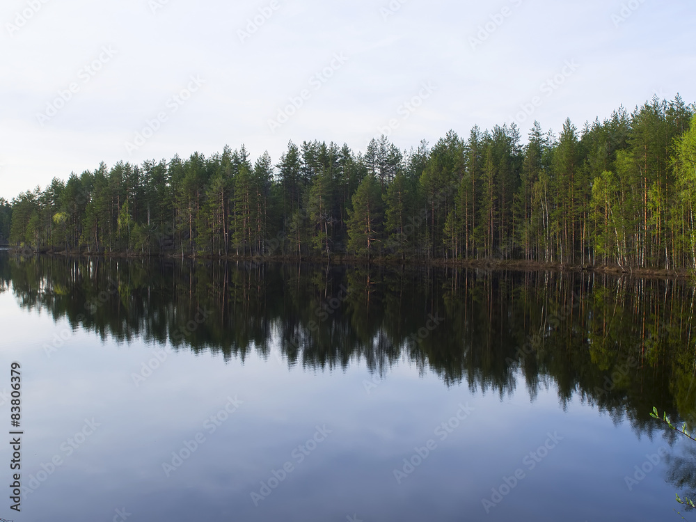Quiet lake at sunset in the Karelian taiga