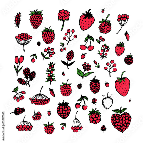 Berries collection, sketch for your design