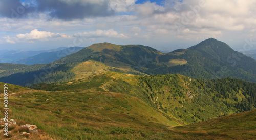 Summer landscape in the mountains.