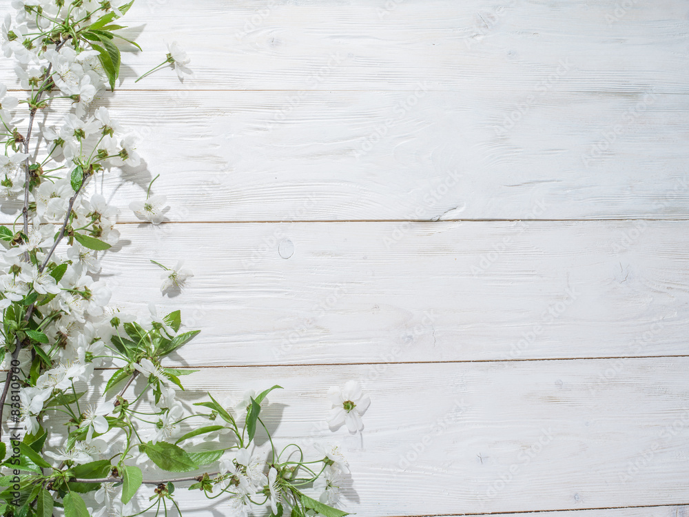 Blooming cherry twig over old wooden table.