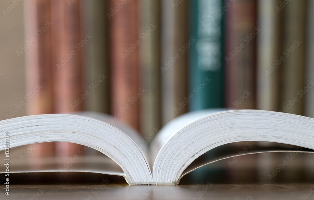 Naklejka premium books