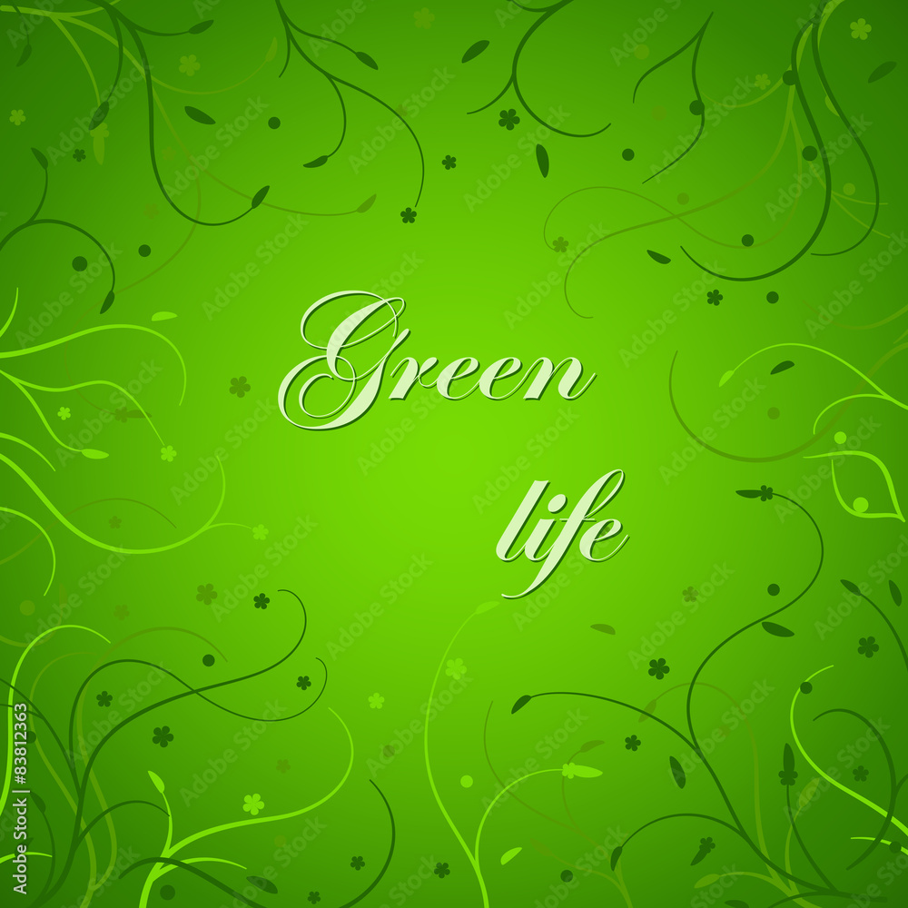 Fototapeta premium Eco card with thin stems on green background