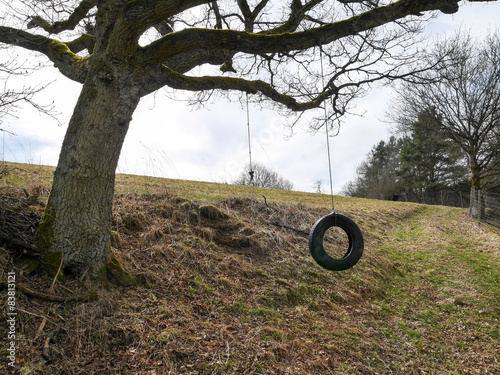 Baum Schaukel  photo