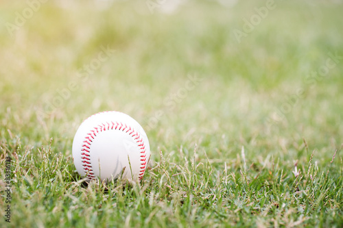 Wallpaper Mural Baseball on the infield chalk line Torontodigital.ca