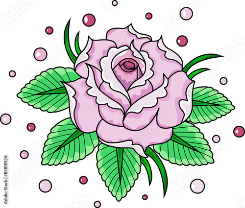 A pink rose