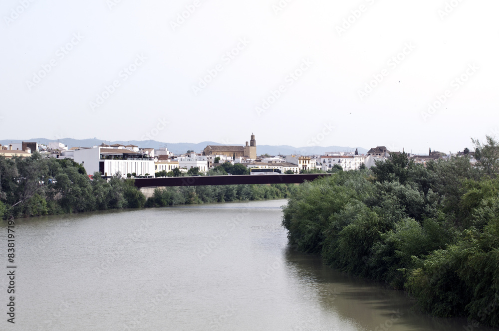 Obraz premium Panoramic view of the city of Cordoba from the Roman bridge