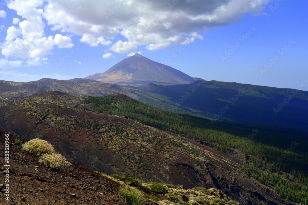 Tenerife. Vista del Teide desde un mirador 