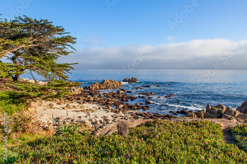 Scenic California Coast Landscape