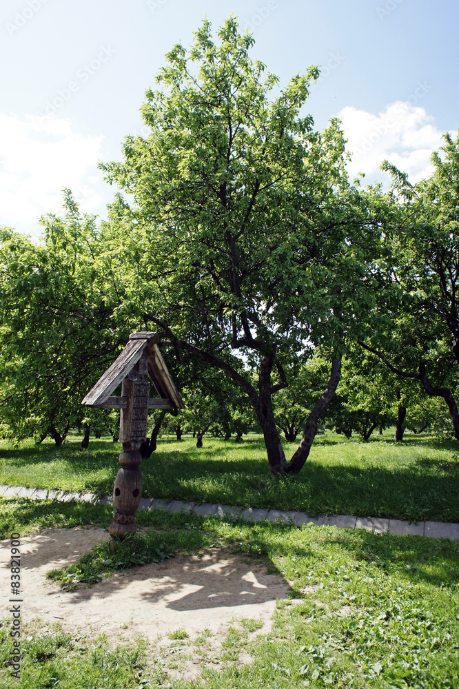 Apple orchard in the estate of Kolomenskoye