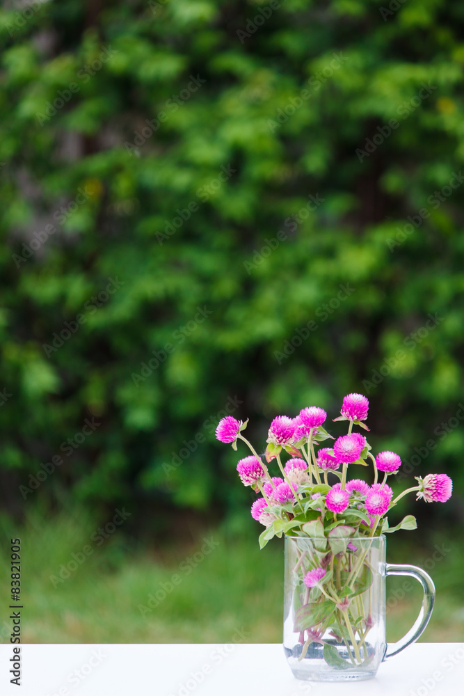 Potted flowers in glass on natural scenes. Potted flowers in glass on natural scenes.