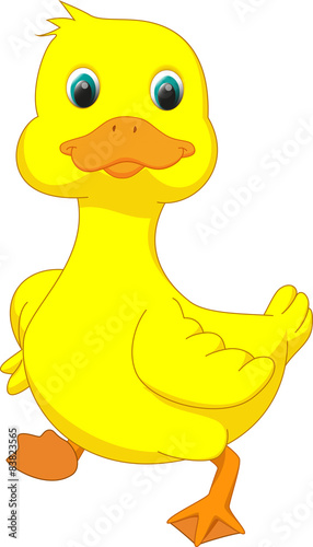 cute duck cartoon