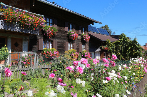 Bauerngarten mit Holzhaus im Allgäu