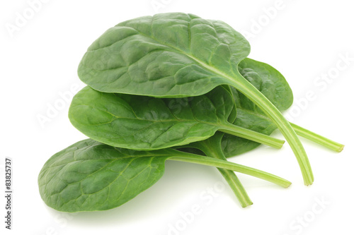 fresh spinach leaves on a white background