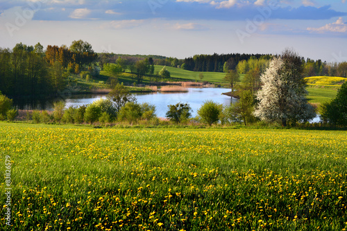 Spring landscape with lake