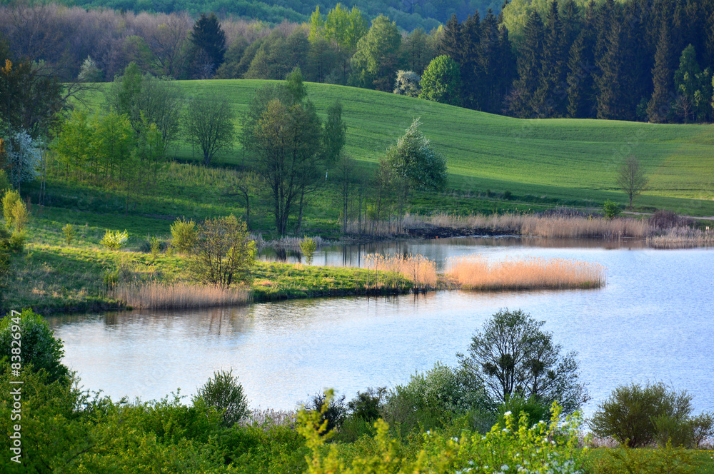 Spring landscape with lake