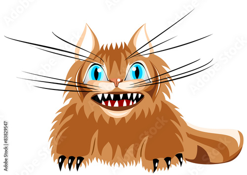 Angry kitten with long whiskers 