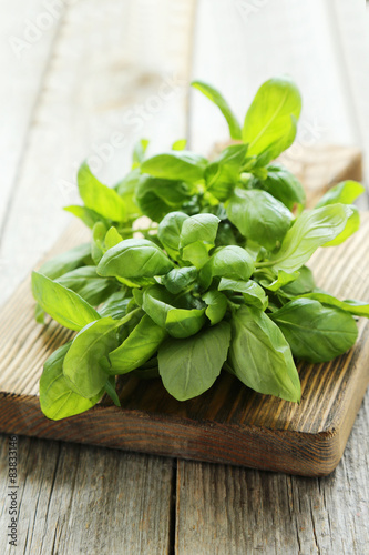 Basil leaves on grey wooden background