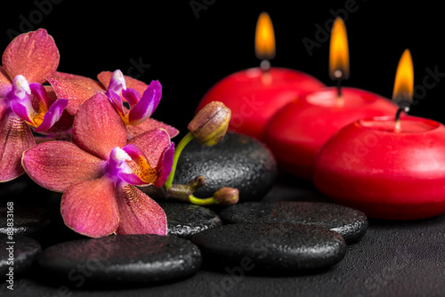 beautiful spa background of blooming twig red orchid flower, pha