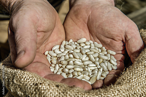 Fagioli Bianchi 