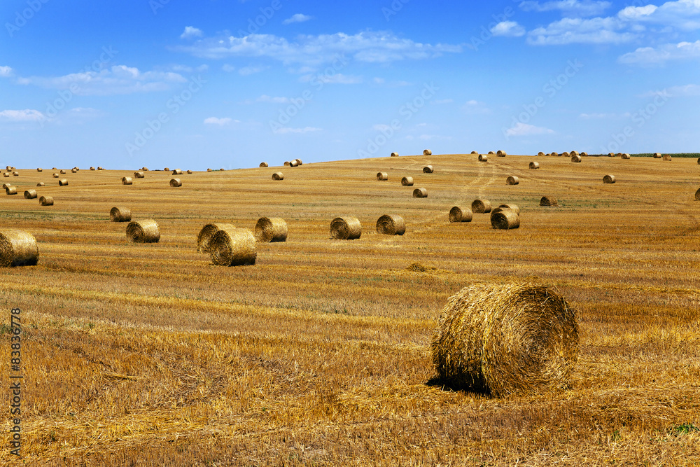 straw stack  