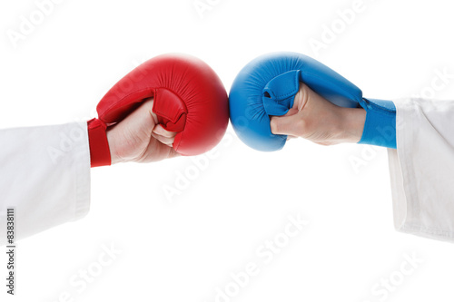 Karate sports glove and fist