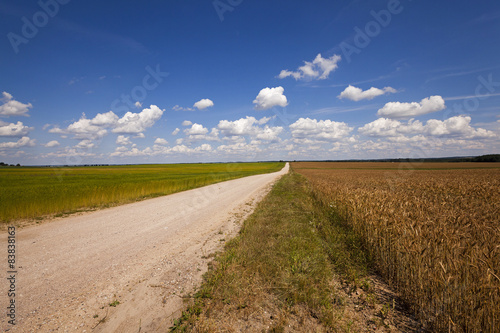 Rural Dirt road  