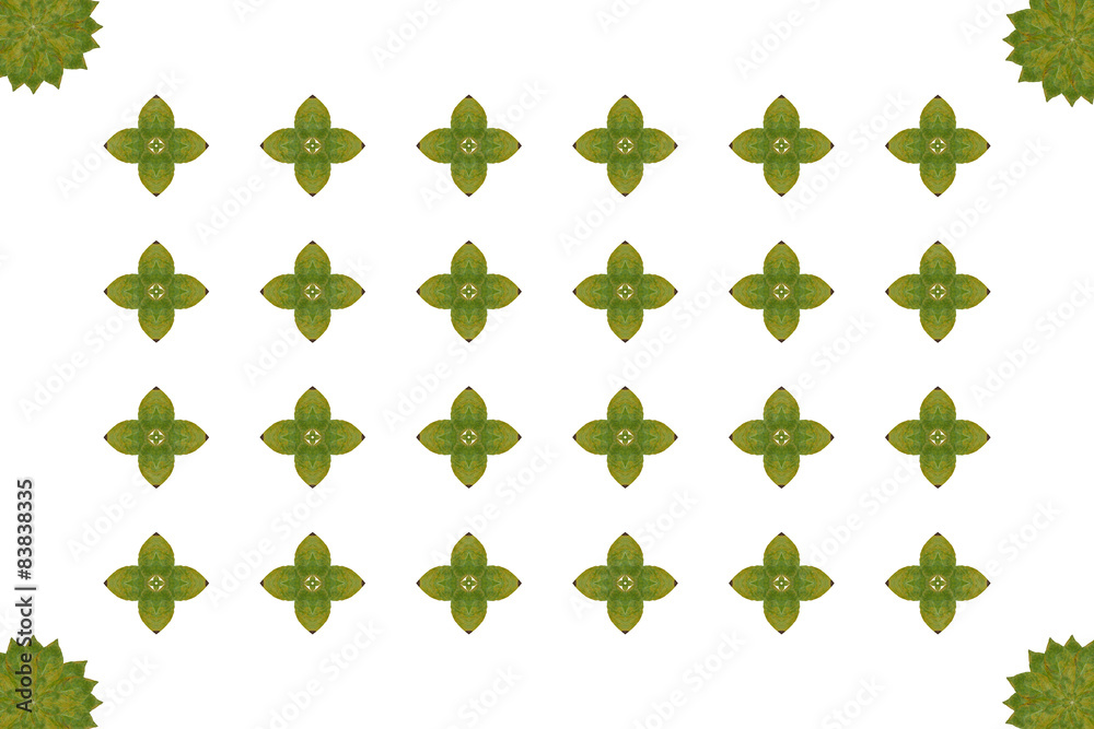 Fototapeta premium Idea from leaf (Pattern concept)