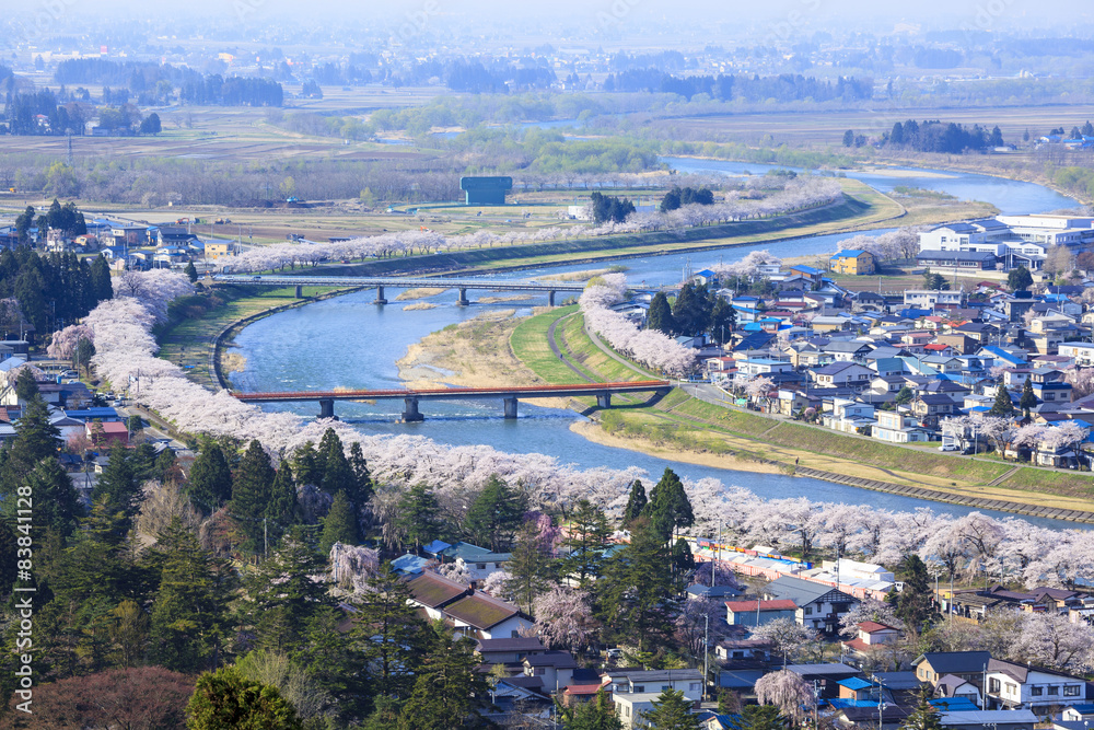 Hinokinaigawa River’s Bank of Cherry Trees, Kakunodate, Akita
