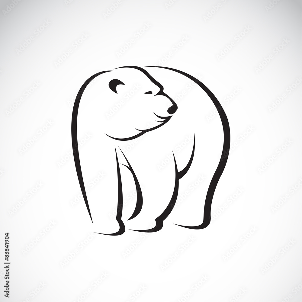 Fototapeta Vector image of an bear design on white background