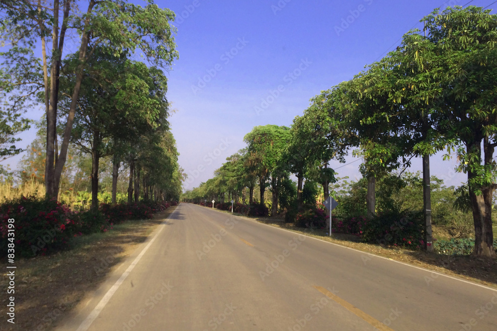 Fototapeta premium スコータイ空港からスコータイ遺跡への道