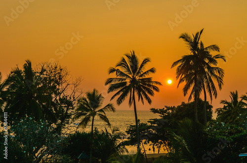 Romantic sunset on Caribbean beach with palms