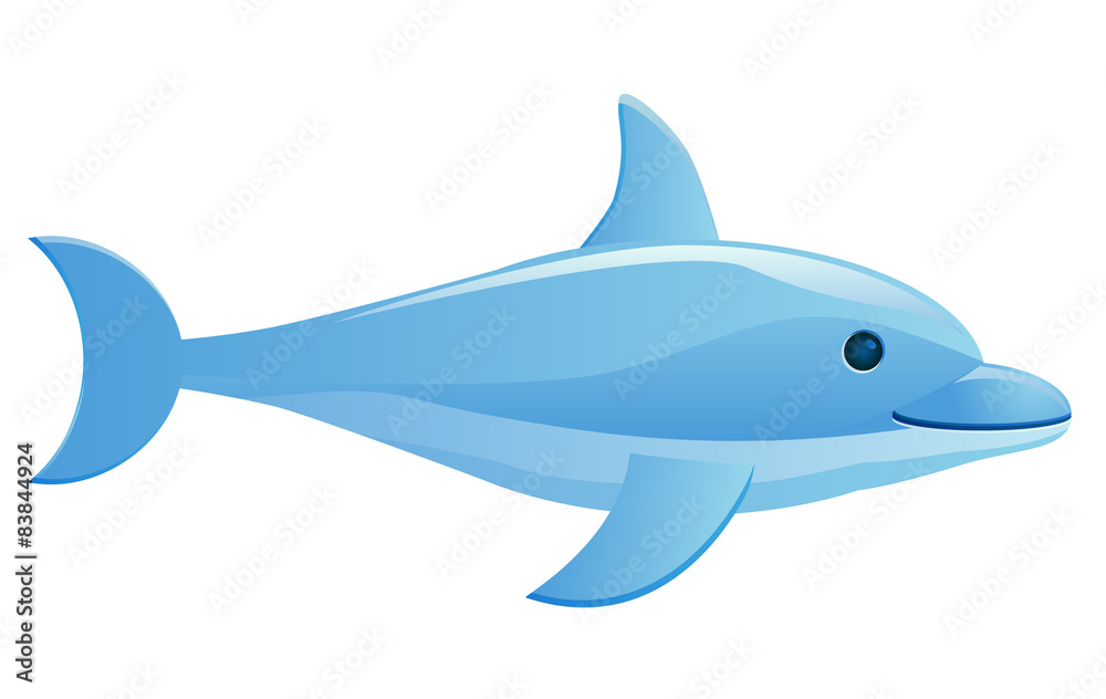 Dolphin vector image Dolphin vector image