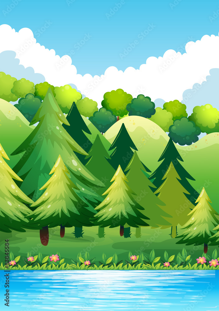 Obraz premium National Park