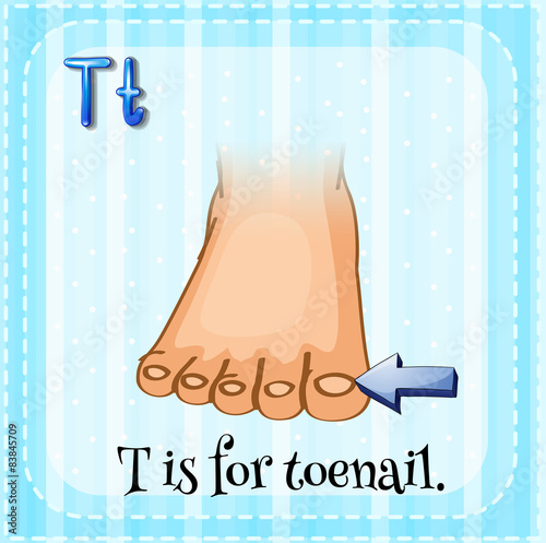 Toenail