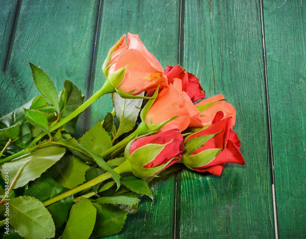 Red Roses flowers, green wood background.