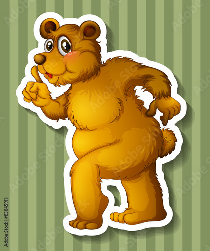 Cute bear