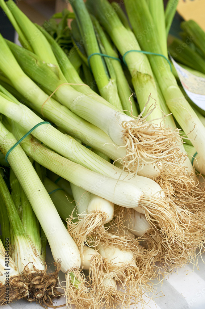 Fototapeta premium Young onion on cutting board